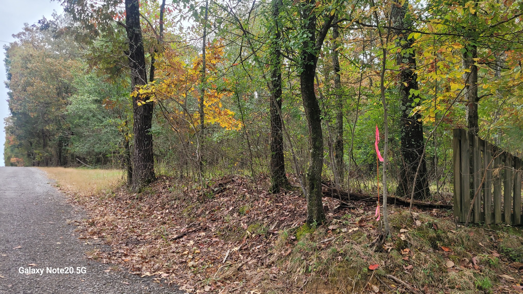 0 Knott Road Winchester, TN 37398 - Photo 6 of 6 a view of a forest with trees in the background