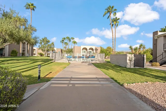 a view of a yard with plants and trees