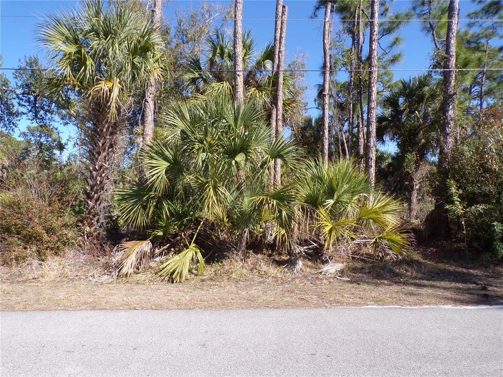 a view of a yard