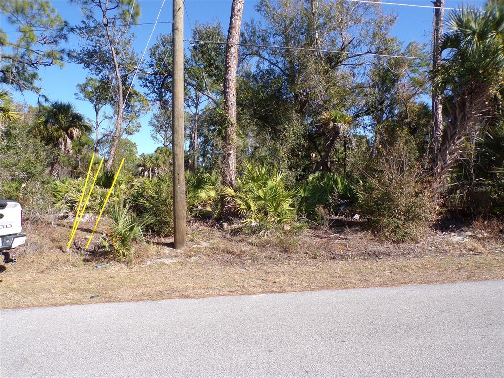 Merced St Port North Port, FL 34288 - Photo 2 of 10 a view of a yard with plants and trees