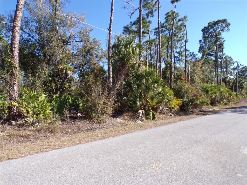 Merced St Port North Port, FL 34288 - Photo 3 of 10 a view of a road with plants and trees beside of it