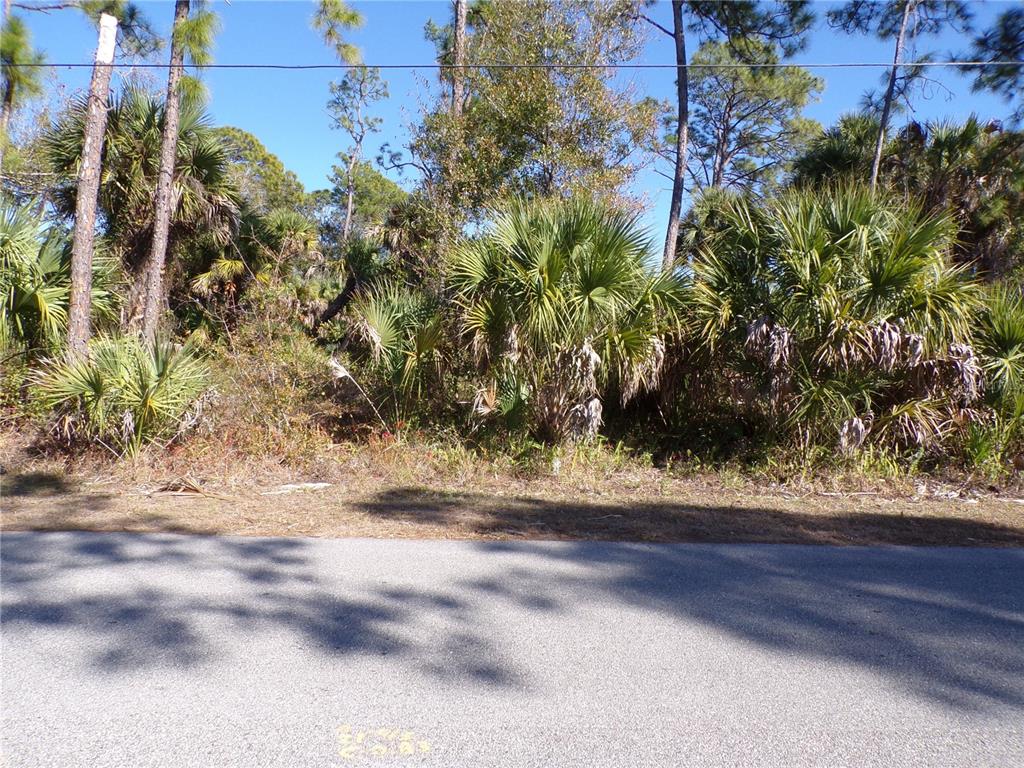Merced St Port North Port, FL 34288 - Photo 5 of 10 a view of a yard with a tree
