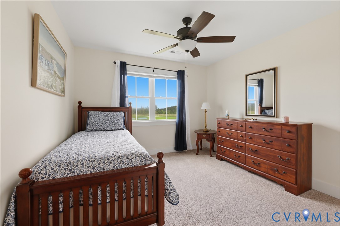 25181 West Soap Stone Road Jetersville, VA 23083 - Photo 29 of 54 Carpeted room with a ceiling fan, a double-hung wi