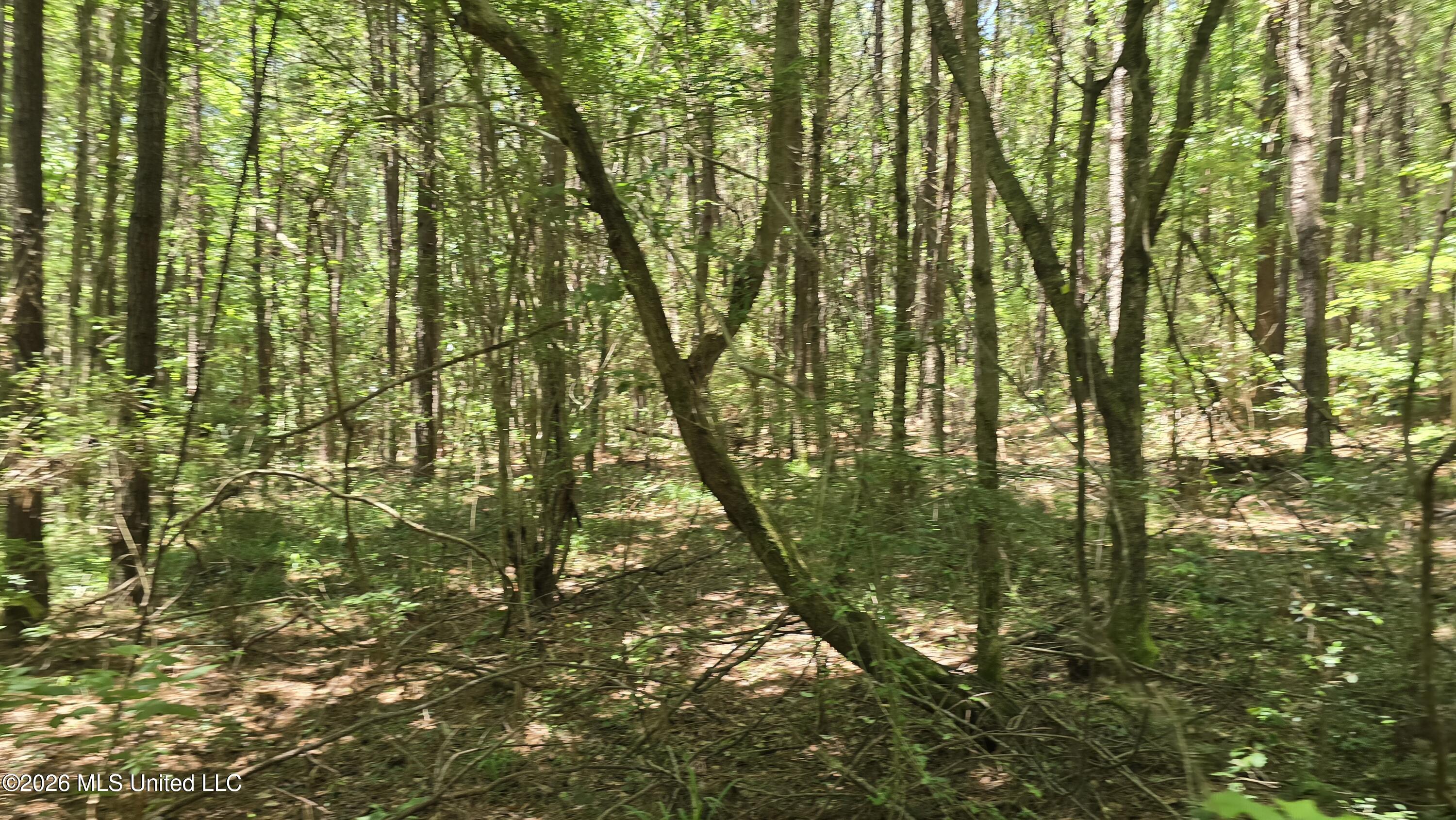 189 Co Road Bay Springs, MS 39422 - Photo 41 of 61 20260513_120753