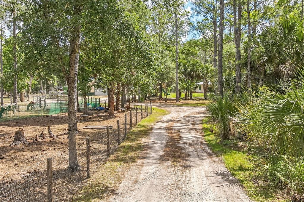 723 River Run Road Osteen, FL 32764 - Photo 34 of 35