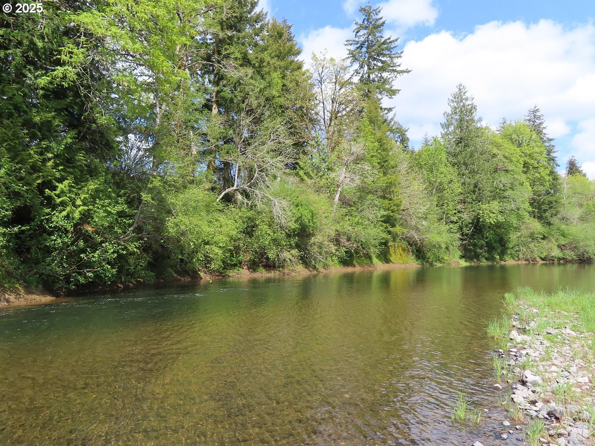 3898 SR 6 Chehalis, WA 98532 - Photo 19 of 22