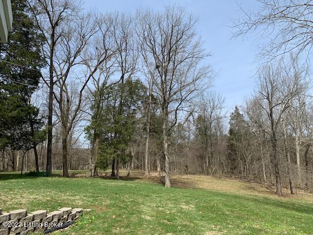 230 Cherokee Spur Road Brandenburg, KY 40108 - Photo 12 of 64 FBA6AB22-6AF4-44A1-8D07-E3BFD450EB4A