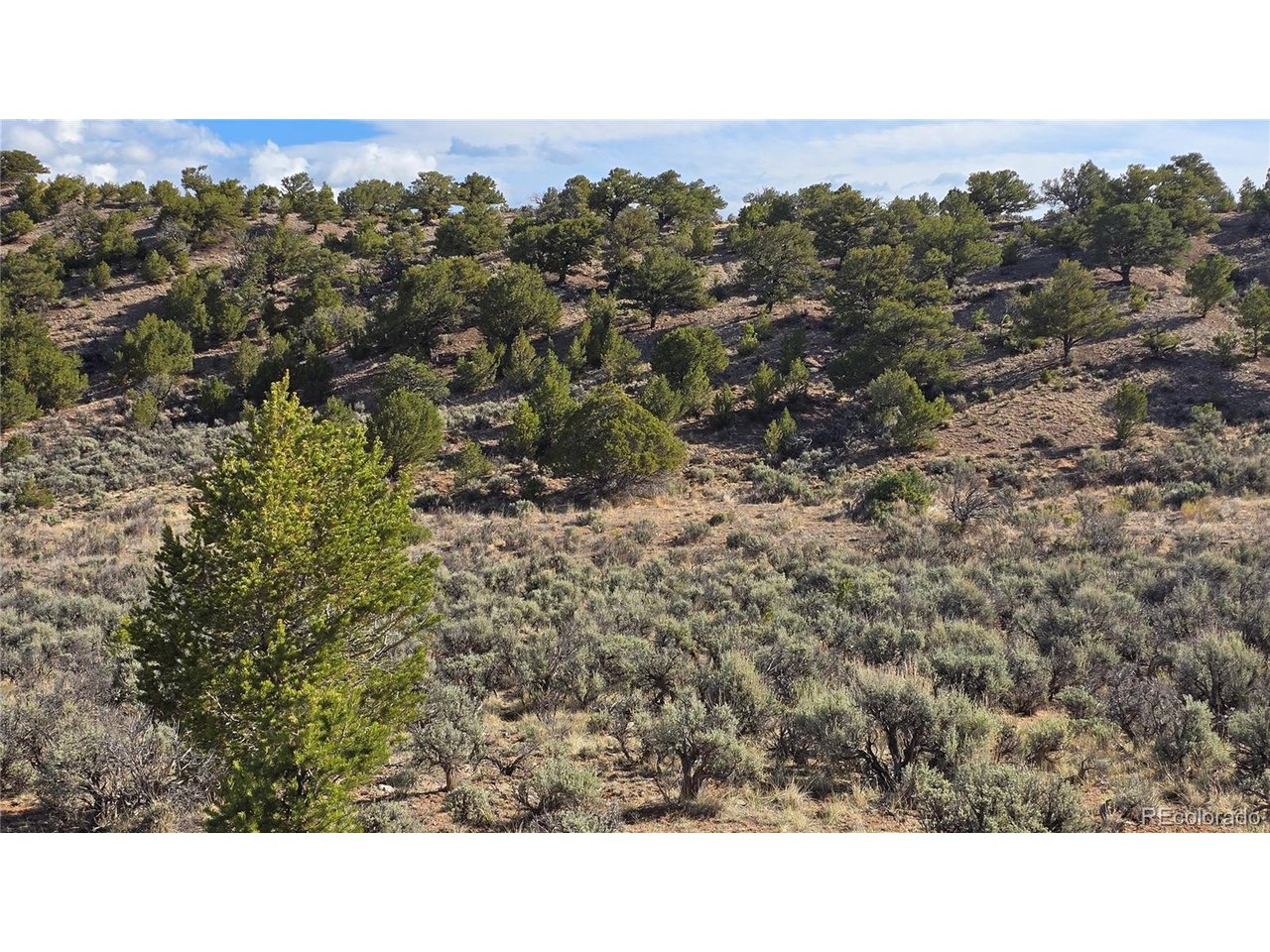 7340 Sweany Road Fort Garland, CO 81133 - Photo 16 of 31