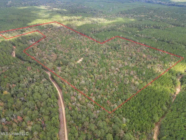 $169,900 | 222 Byrd Road, Pinola, MS 39149