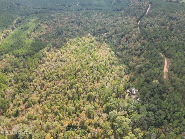 $180,000 | 222 Byrd Road, Pinola, MS 39149