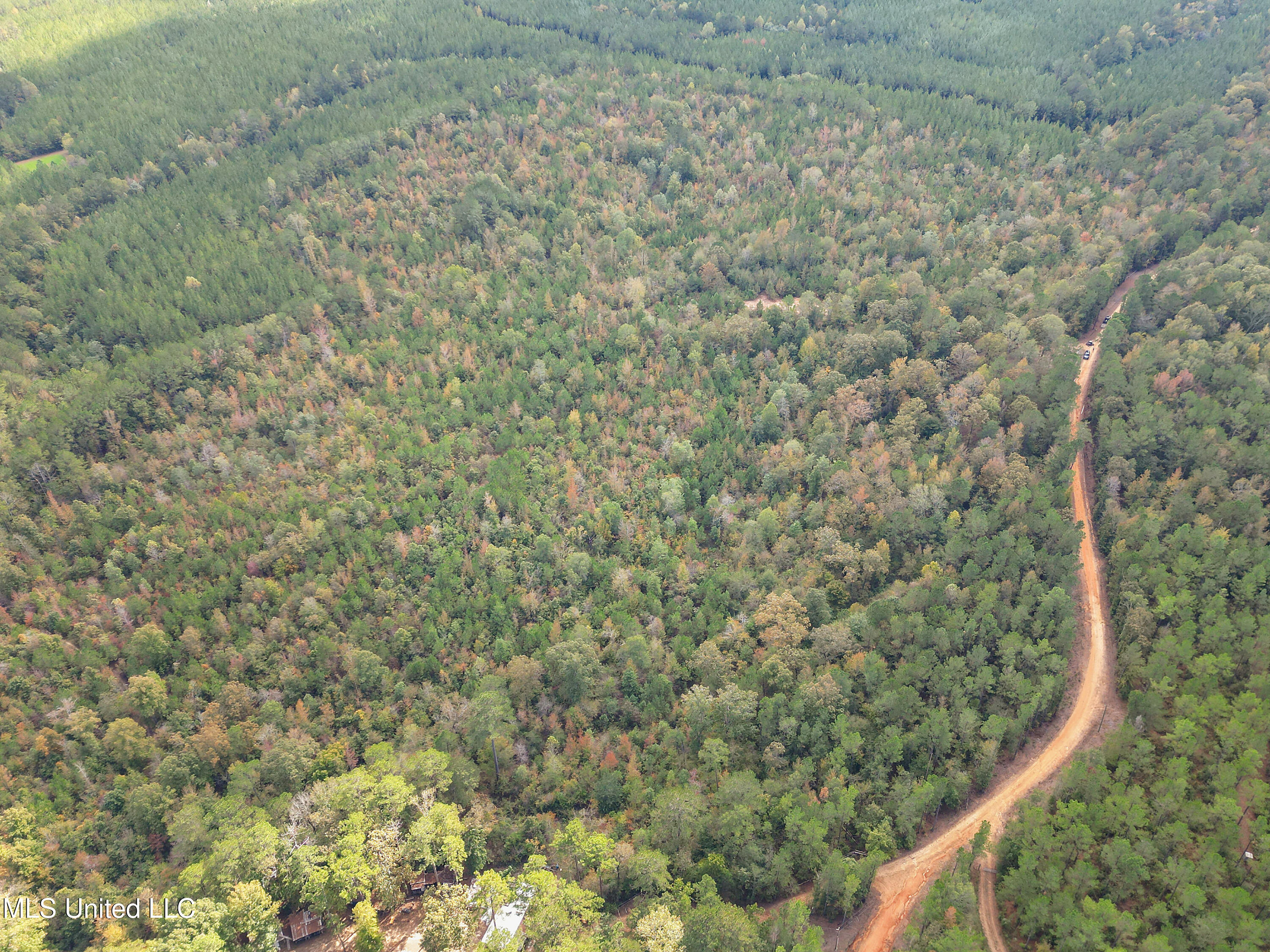 222 Byrd Road Pinola, MS 39149 - Photo 12 of 30 10-IMG_3784