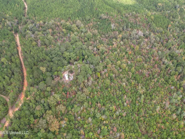 $180,000 | 222 Byrd Road, Pinola, MS 39149