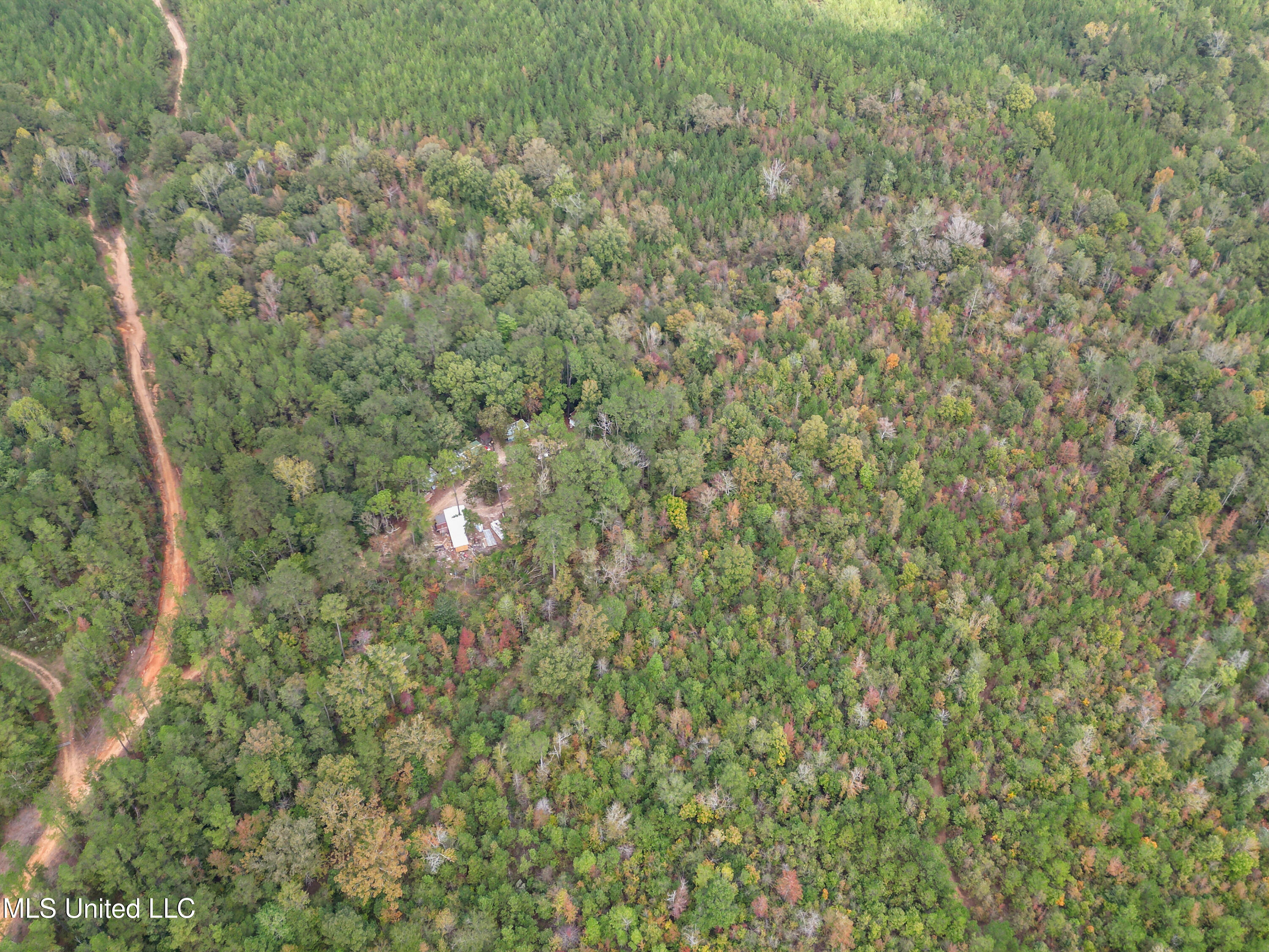 222 Byrd Road Pinola, MS 39149 - Photo 13 of 30 11-IMG_3783