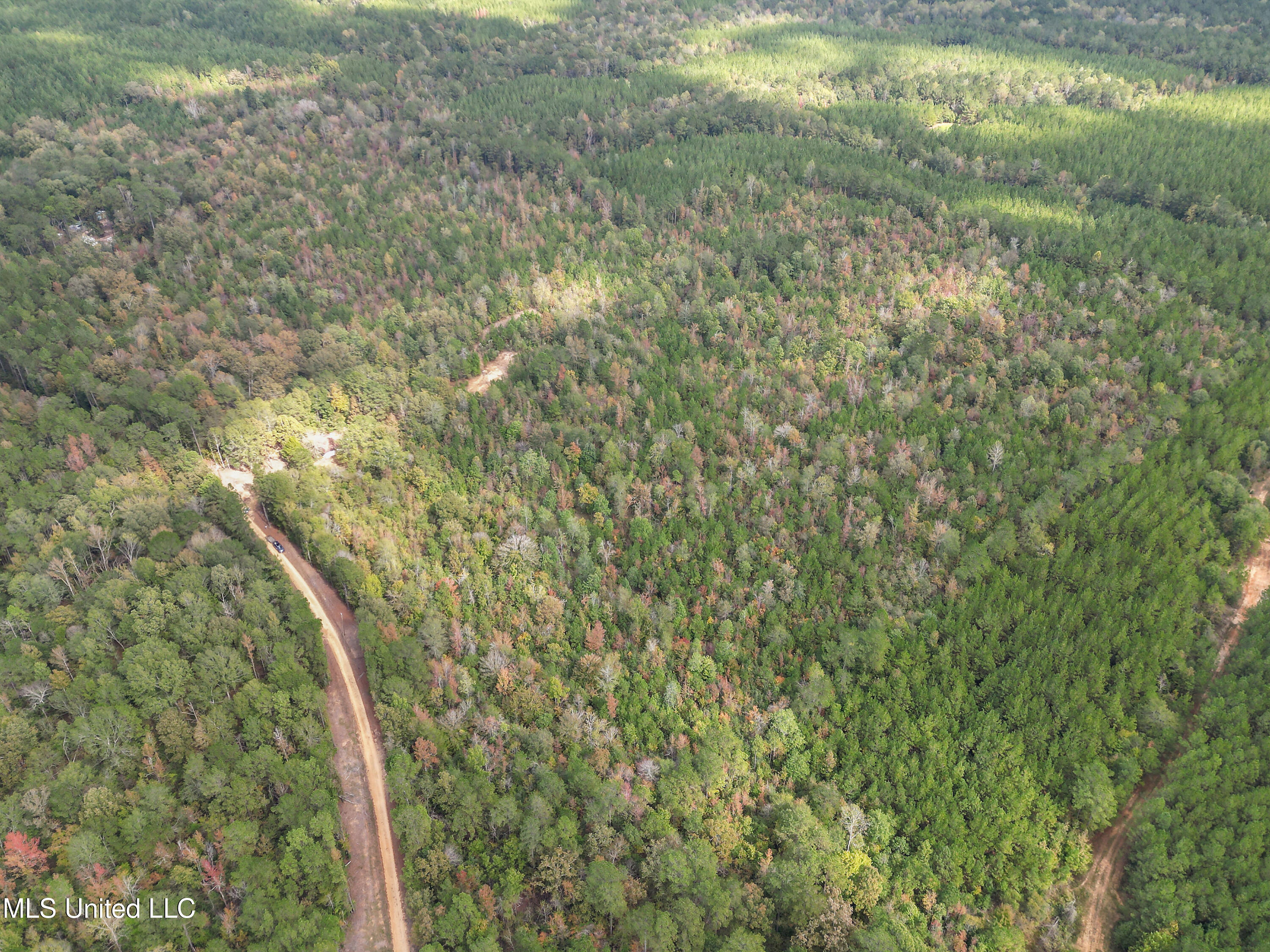 222 Byrd Road Pinola, MS 39149 - Photo 14 of 30 12-IMG_3782