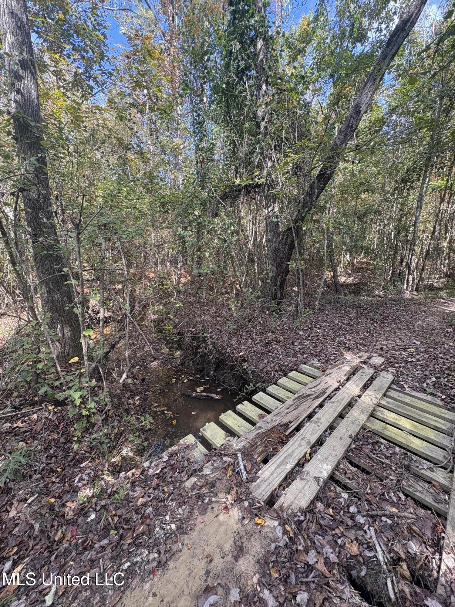 222 Byrd Road Pinola, MS 39149 - Photo 15 of 30 IMG_5612