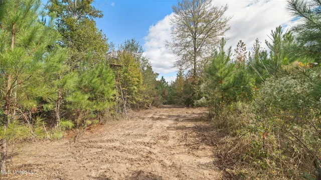 $180,000 | 222 Byrd Road, Pinola, MS 39149