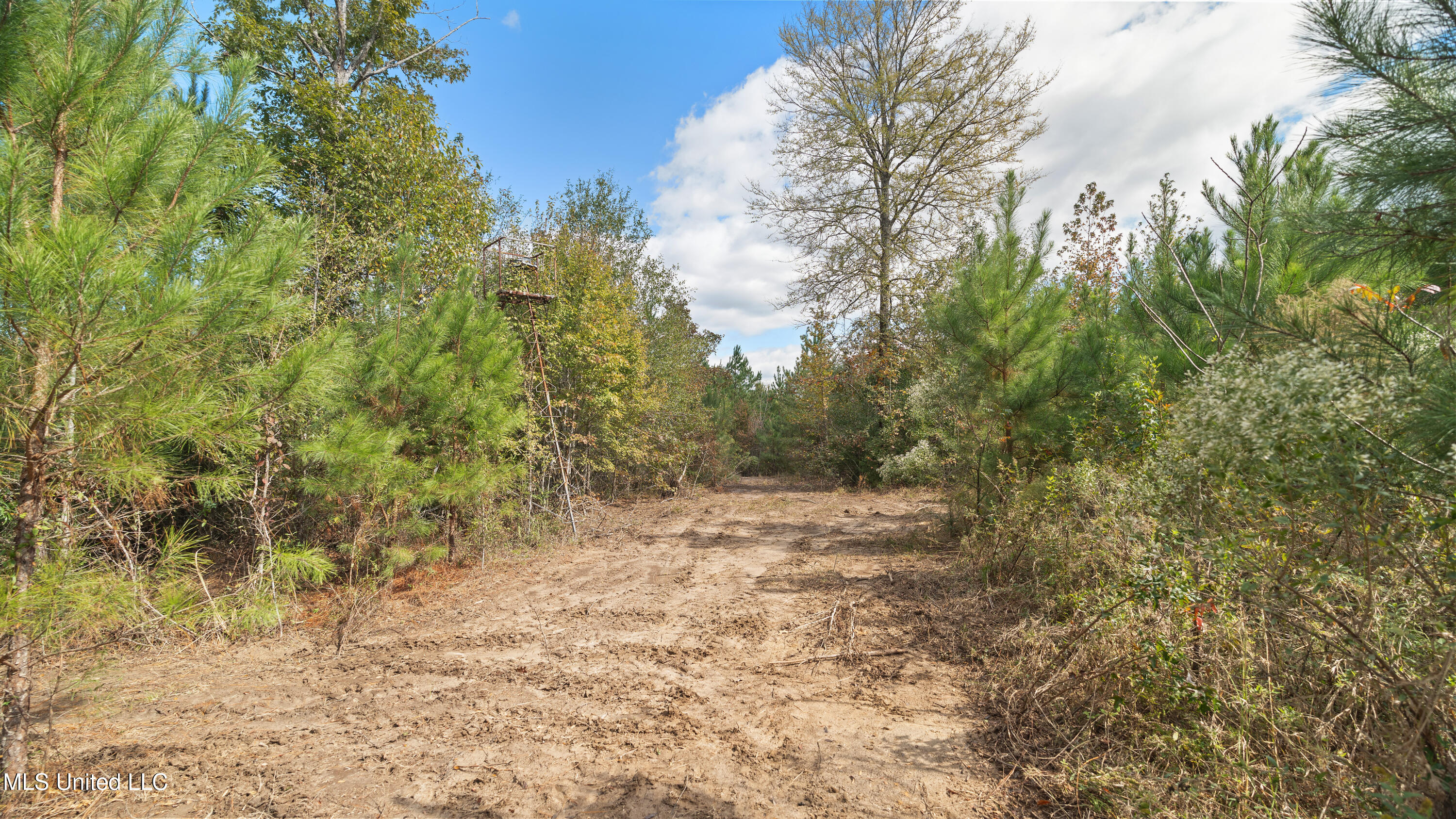 222 Byrd Road Pinola, MS 39149 - Photo 16 of 30 27-IMG_3789