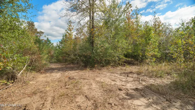 $180,000 | 222 Byrd Road, Pinola, MS 39149