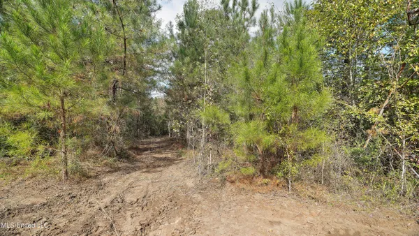 $169,900 | 222 Byrd Road, Pinola, MS 39149