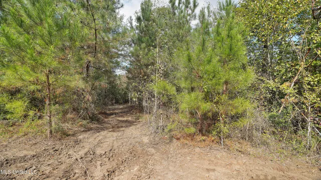 $180,000 | 222 Byrd Road, Pinola, MS 39149