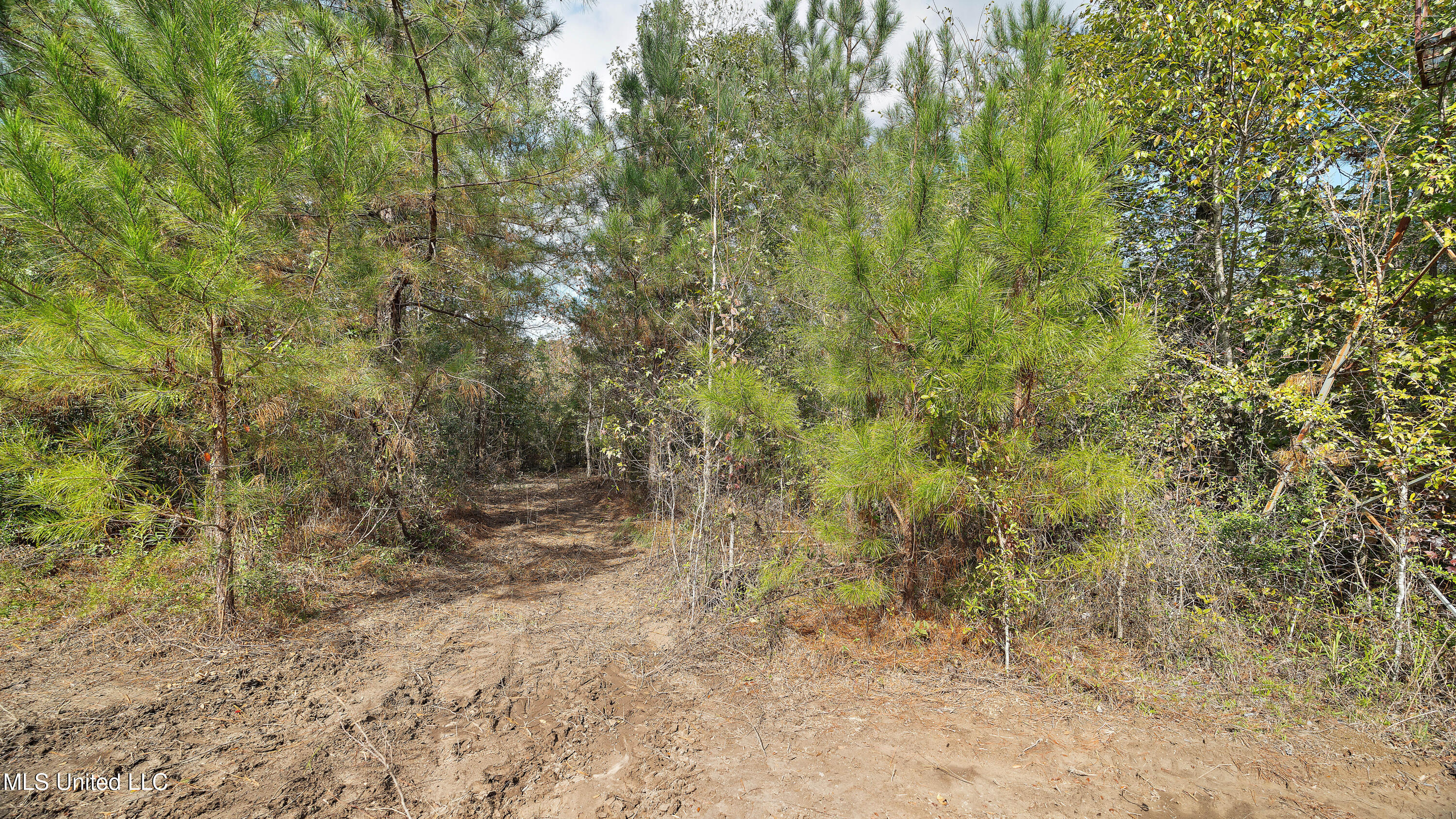 222 Byrd Road Pinola, MS 39149 - Photo 19 of 30 25-IMG_3803