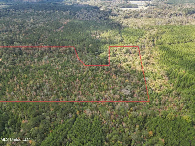 $180,000 | 222 Byrd Road, Pinola, MS 39149