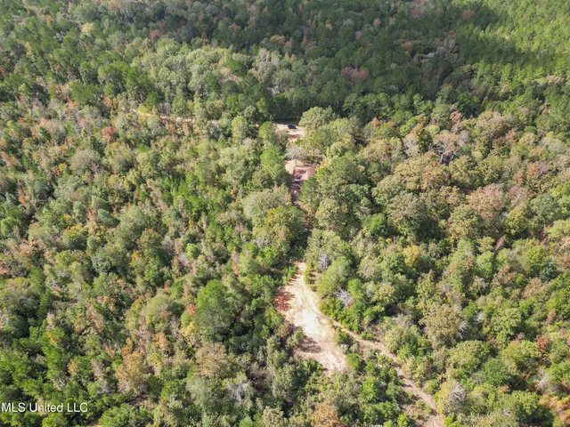 $180,000 | 222 Byrd Road, Pinola, MS 39149