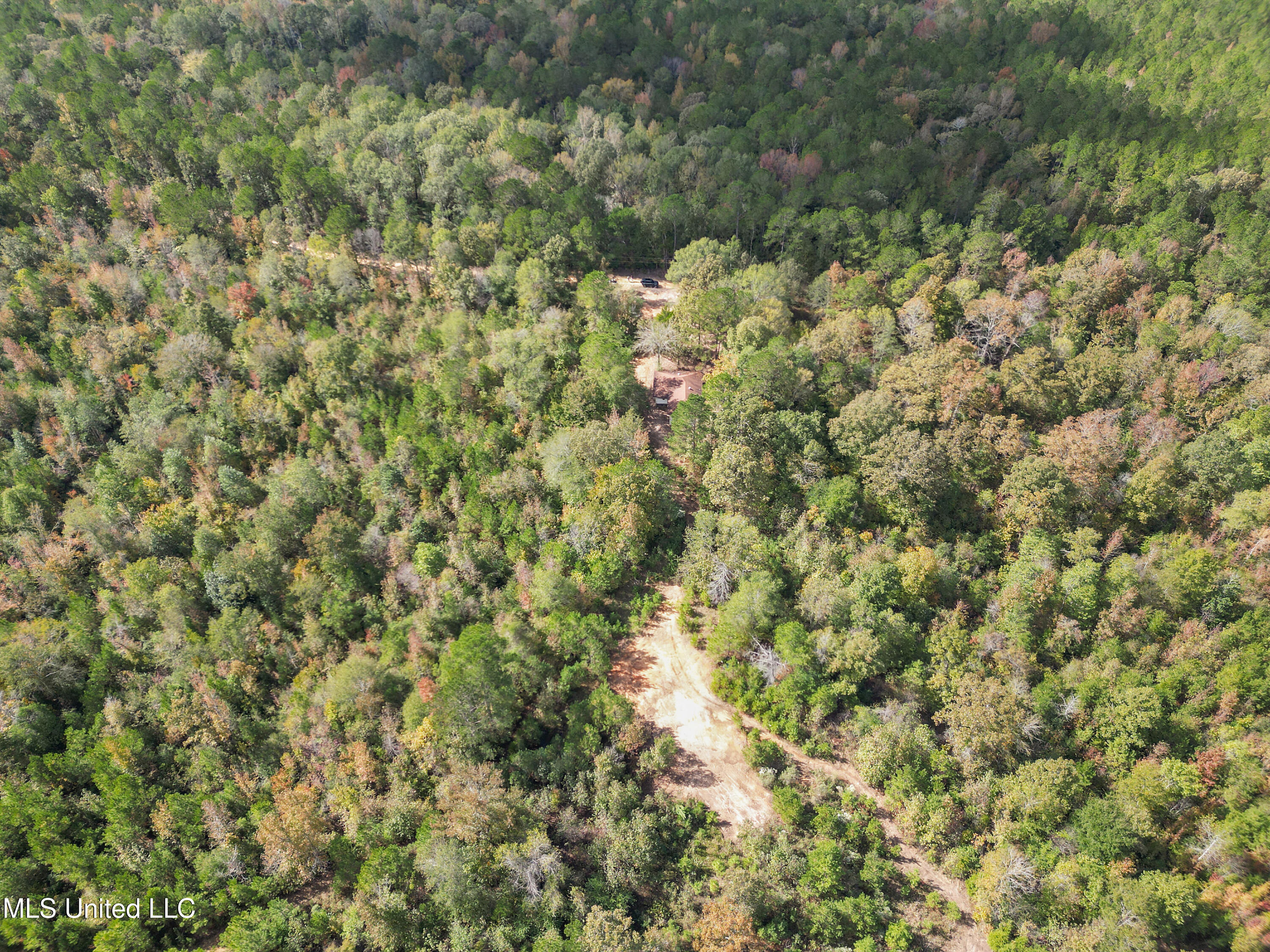 222 Byrd Road Pinola, MS 39149 - Photo 5 of 30 03-IMG_3798