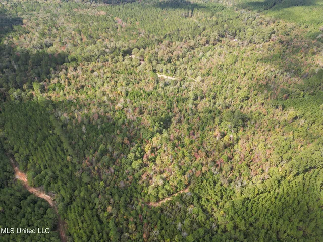 $180,000 | 222 Byrd Road, Pinola, MS 39149