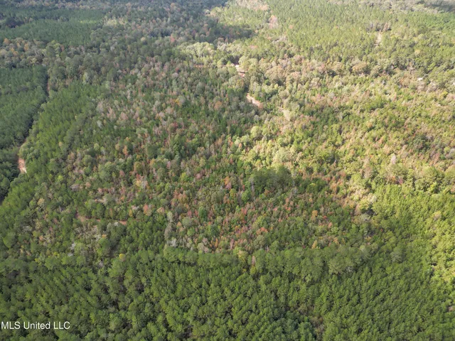 $180,000 | 222 Byrd Road, Pinola, MS 39149