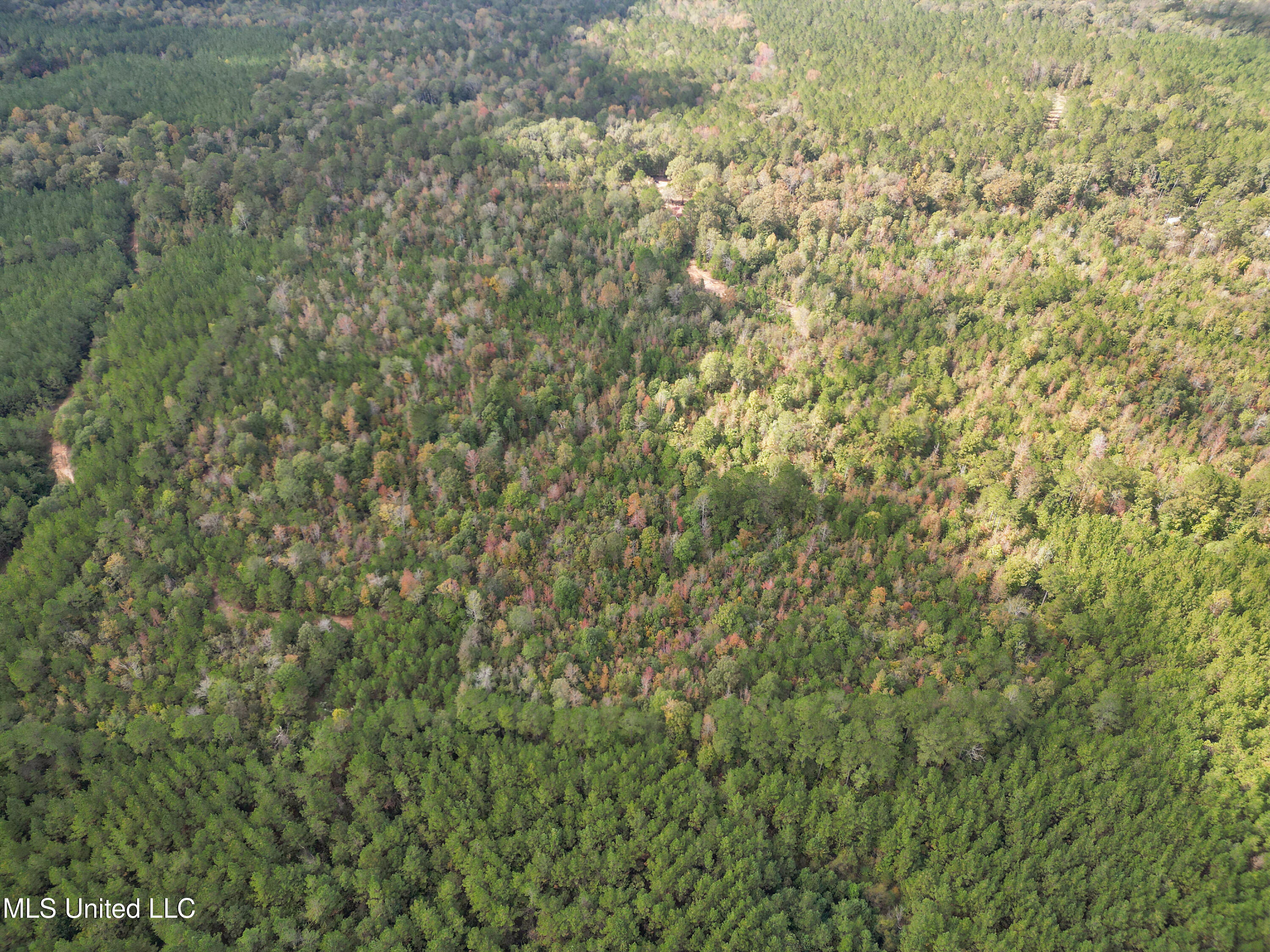 222 Byrd Road Pinola, MS 39149 - Photo 7 of 30 05-IMG_3794