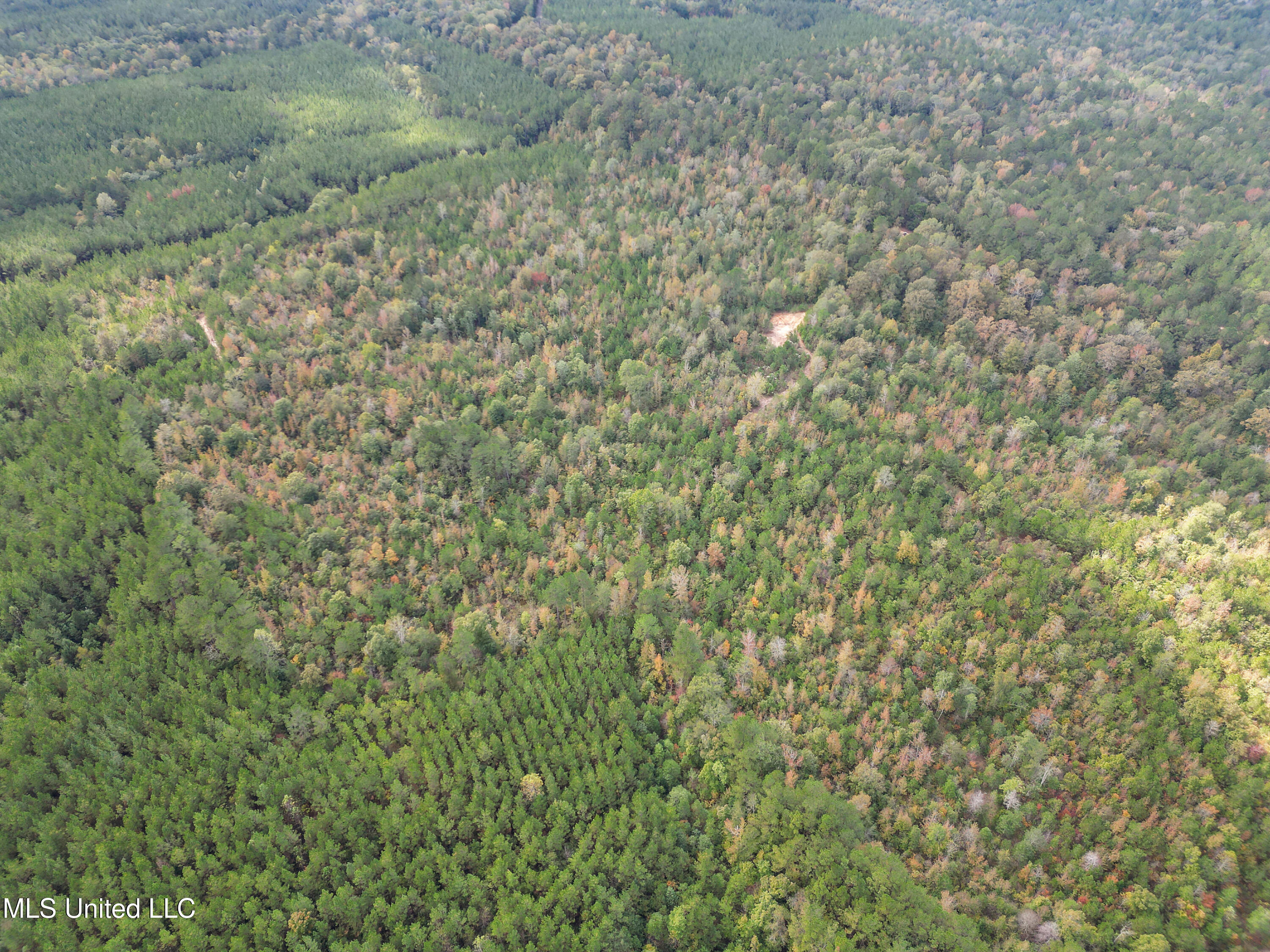 222 Byrd Road Pinola, MS 39149 - Photo 8 of 30 06-IMG_3792