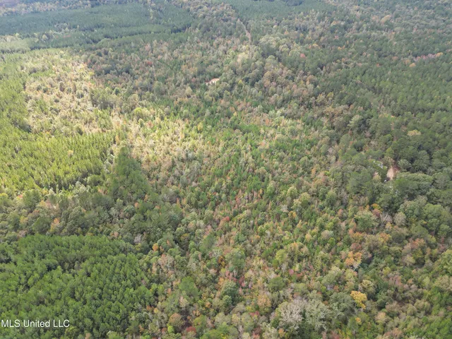 $180,000 | 222 Byrd Road, Pinola, MS 39149