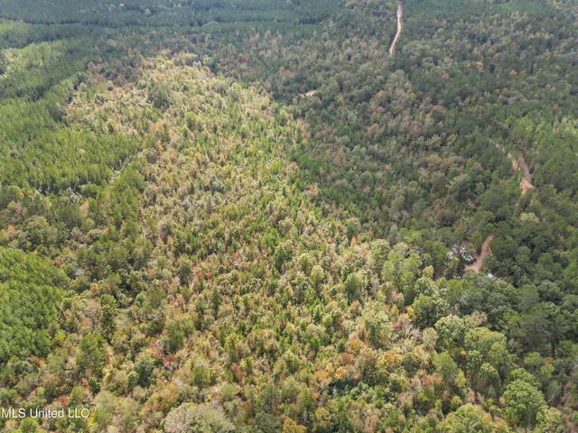 $180,000 | 222 Byrd Road, Pinola, MS 39149