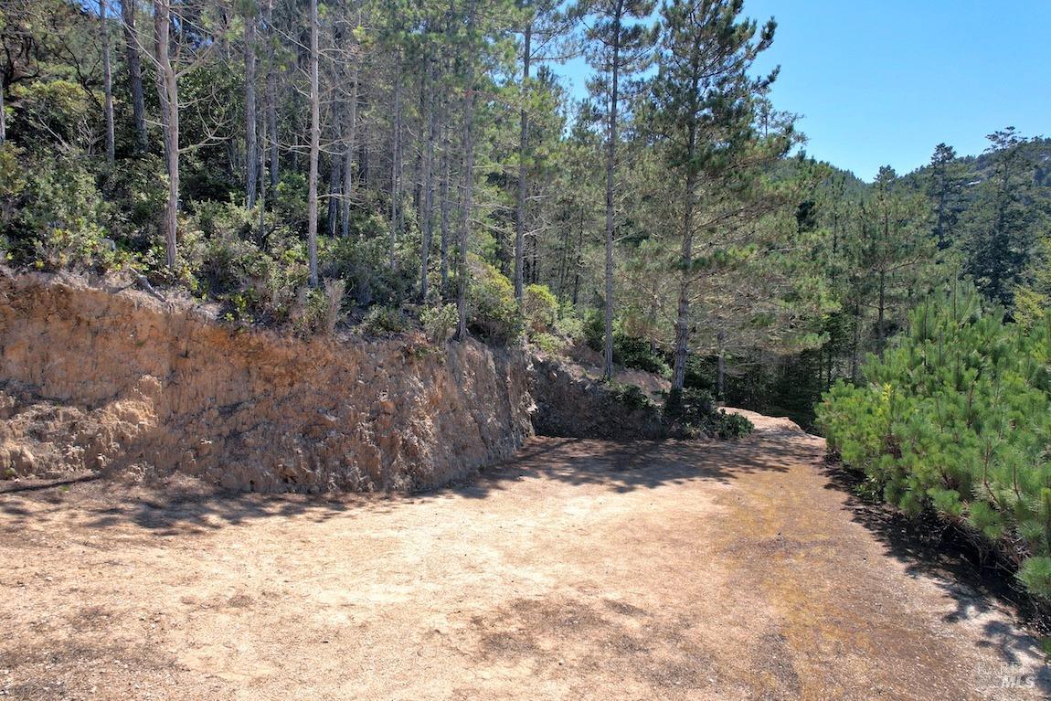 0 West Robert Drive Inverness, CA 94937 - Photo 6 of 12 a view of a backyard of the house