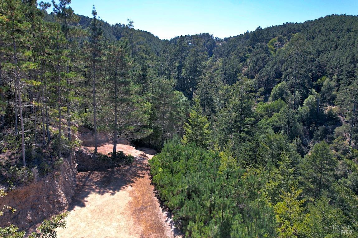 0 West Robert Drive Inverness, CA 94937 - Photo 7 of 12 a view of a forest with a street