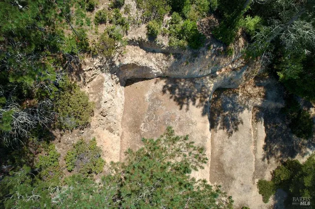 a view of a city with lush green forest