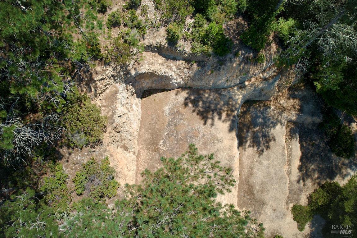 0 West Robert Drive Inverness, CA 94937 - Photo 8 of 12 a view of a tree in a yard