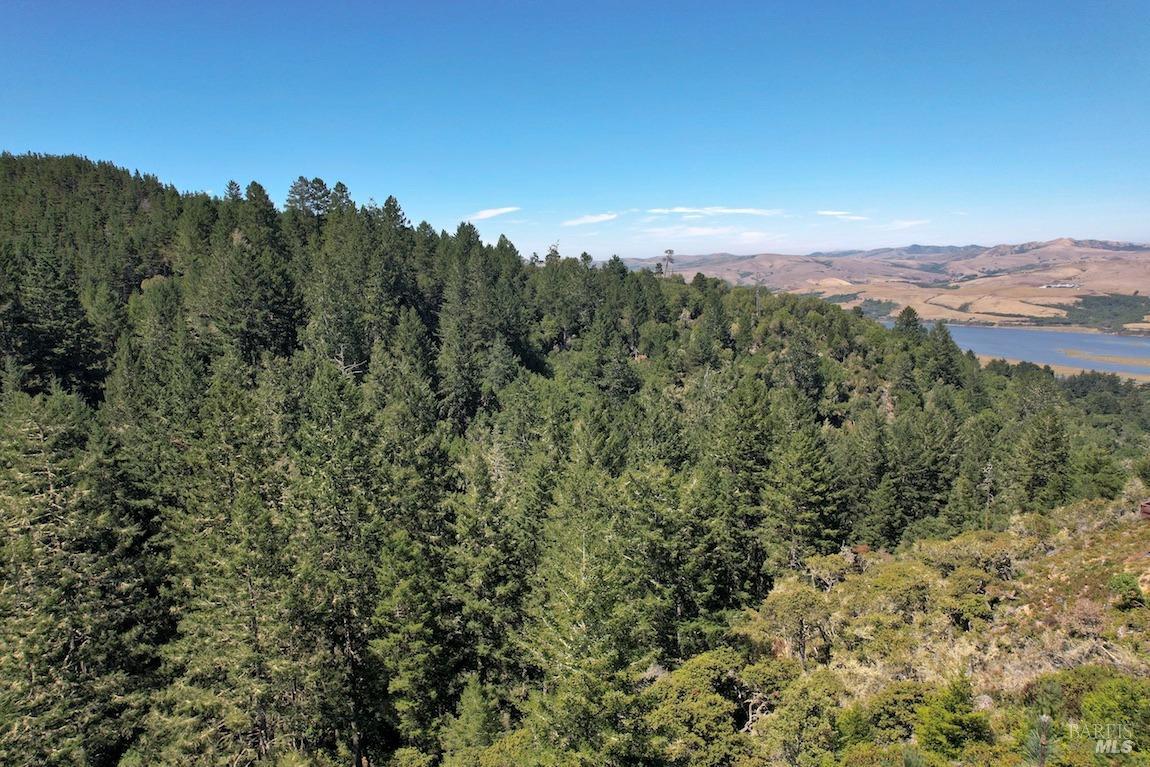 0 West Robert Drive Inverness, CA 94937 - Photo 9 of 12 a view of a city with lush green forest