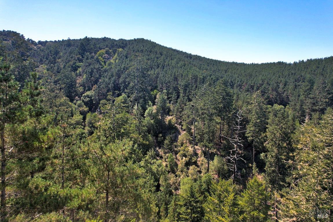 0 West Robert Drive Inverness, CA 94937 - Photo 10 of 12 a view of a mountain in the distance in a field