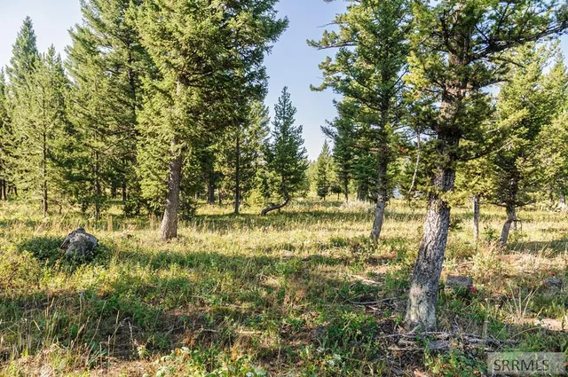 $325,000 | 2819 Northeast Sagehen Drive, Island Park, ID 83429