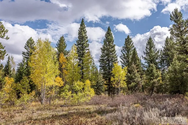 $325,000 | 2819 Northeast Sagehen Drive, Island Park, ID 83429