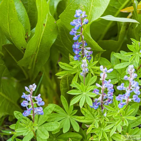 $325,000 | 2819 Northeast Sagehen Drive, Island Park, ID 83429