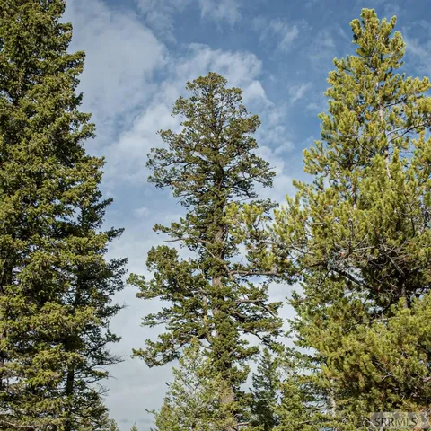 $325,000 | 2819 Northeast Sagehen Drive, Island Park, ID 83429