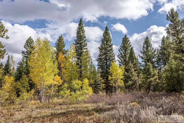 $325,000 | 2819 Northeast Sagehen Drive, Island Park, ID 83429