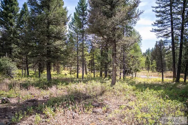 $325,000 | 2819 Northeast Sagehen Drive, Island Park, ID 83429