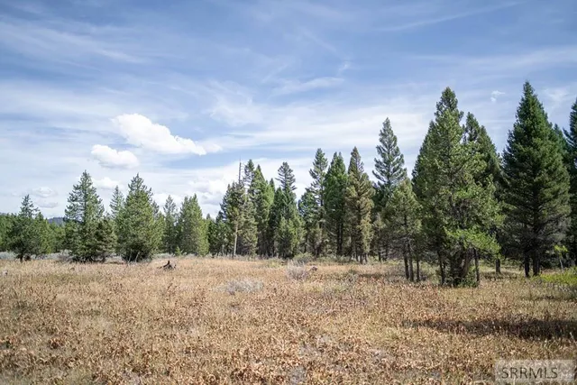 $325,000 | 2819 Northeast Sagehen Drive, Island Park, ID 83429