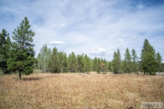 $325,000 | 2819 Northeast Sagehen Drive, Island Park, ID 83429