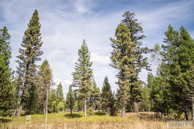 $325,000 | 2819 Northeast Sagehen Drive, Island Park, ID 83429