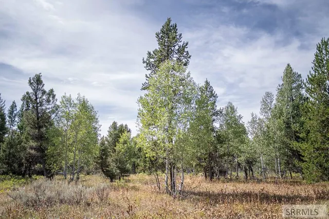 $325,000 | 2819 Northeast Sagehen Drive, Island Park, ID 83429